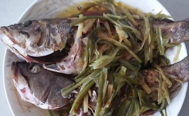美味|石斑鱼做得又美味又简单,又营养又美味