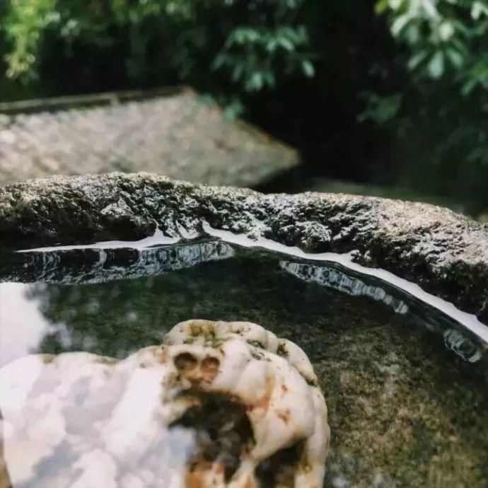  庭院|老缸，中式庭院心中的一方山水