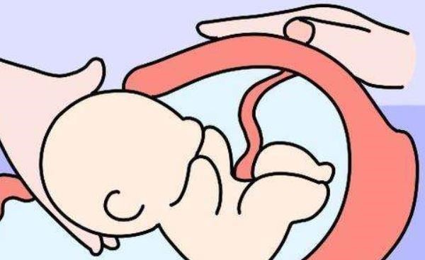 子宫|女性的子宫能“扛”几次剖腹产超过这个次数,千万不要再剖了