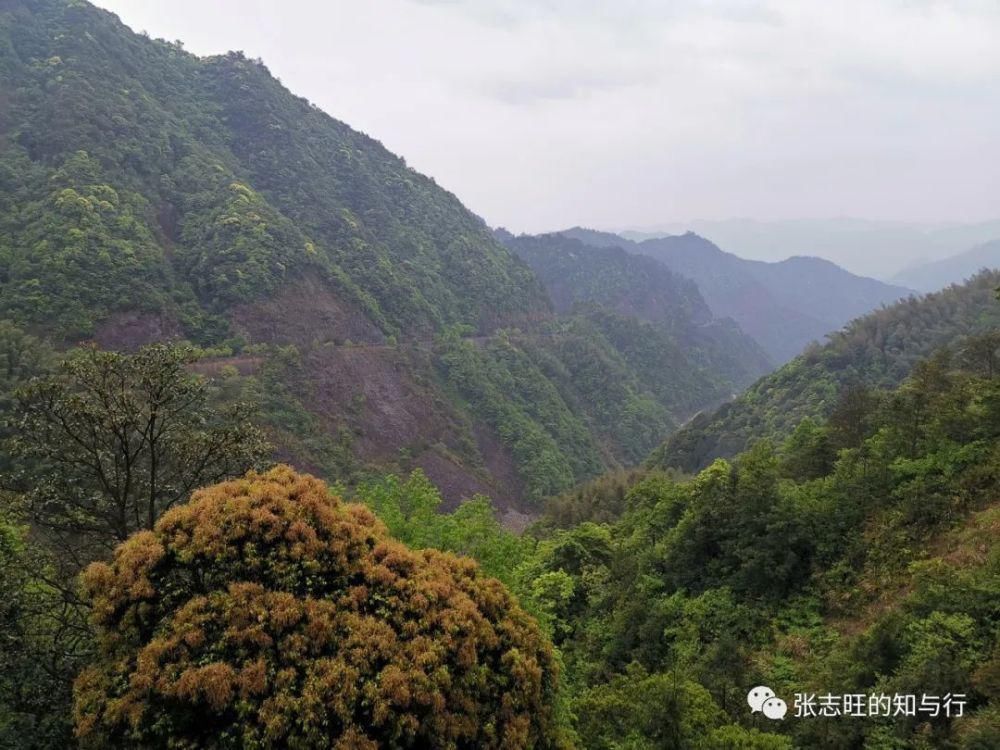 廊桥|浙南之行：廊桥无梦