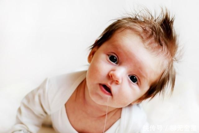 羊肉|鱼加羊是新鲜的,“鱼羊一锅鲜”在上确实是美味