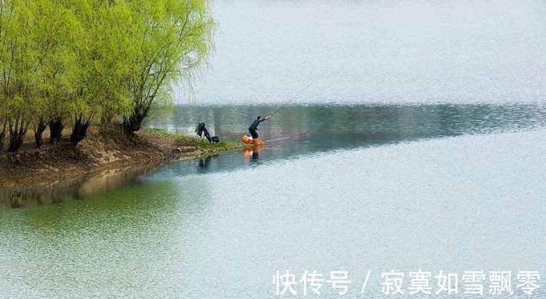 口诀|夏天钓鱼,为何有人爆护,有人颗粒无收,原因就在这几句口诀里