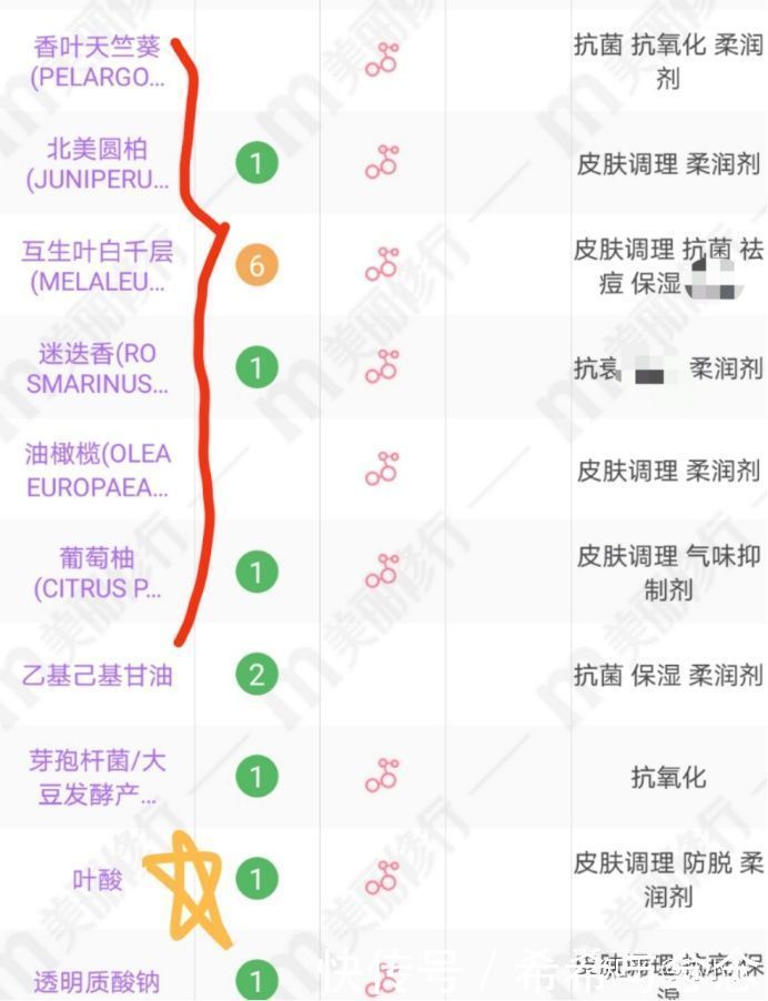 粉底|气垫VS粉底液丨哪个才是孕妇圈公认的新宠?盘点2021年度必囤底妆