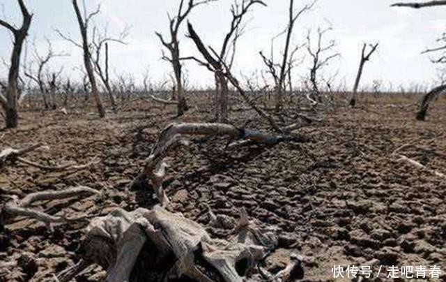 河里|啃树皮、吃老鼠,饥荒年代人们什么都吃,为何不吃河里的鱼虾?