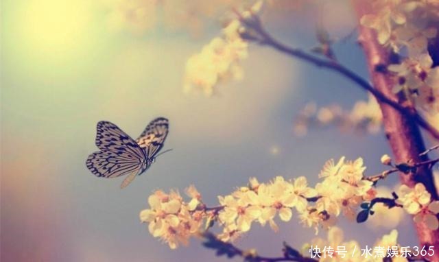 深藏不露|李煜一首深藏不露的词,全文无一怨字,却写出了痴情人最深的怨念