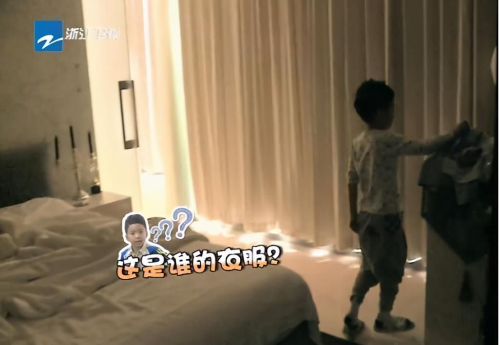 电梯|华谊总裁王中磊家,电梯入门,一进门就是金钱的“味道”