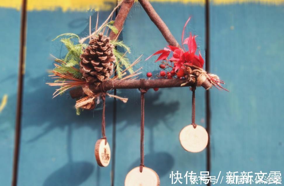 养花|松树有2宝,松果壳、松针,带回家养花,效果比花肥强