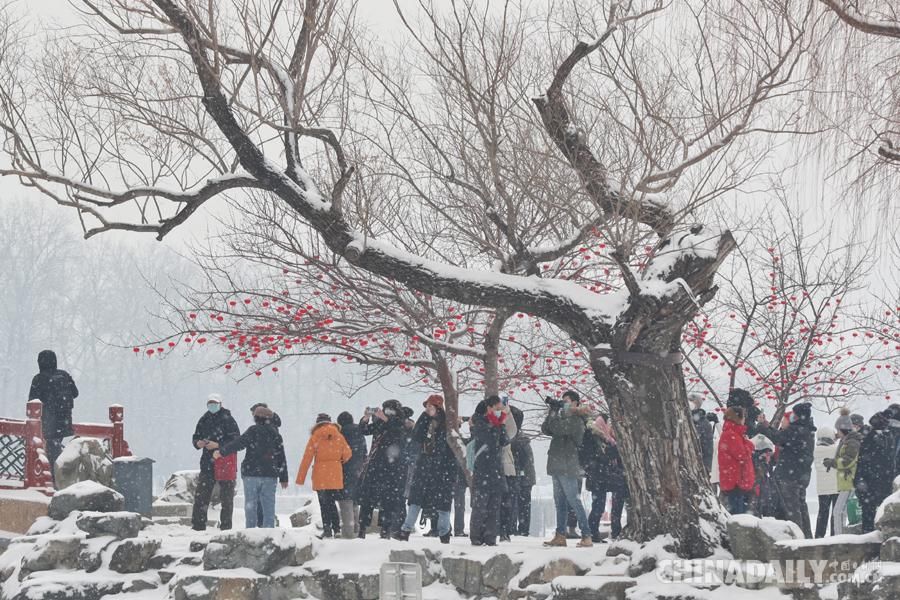 记者|雪映颐和园