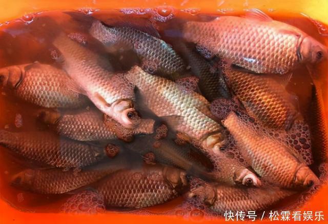 冬季钓鱼打窝要做到3多1少,对你的鱼获大有帮助