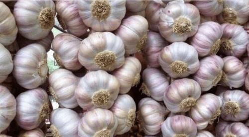 燕麦|如何预防血管堵塞?建议:6类食物敞开吃,或有助血管保持通畅