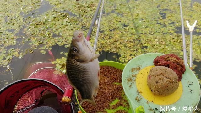 钓鱼新手要养成的四个好习惯,让你渔获翻倍---皇禾钓具