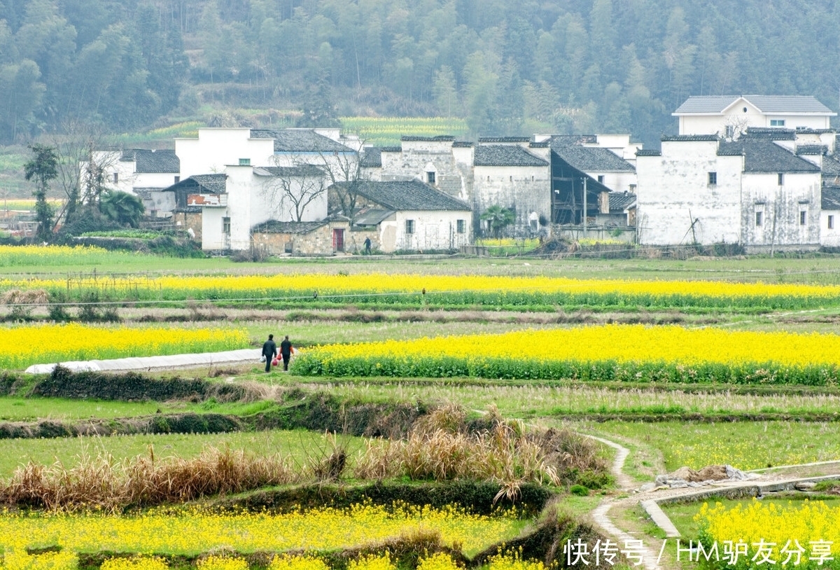 中年|春天最适合小住三五天的12个地方,错过这些美景,又要等一年
