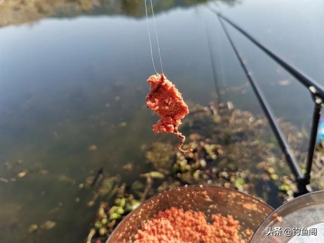 锅底型|一到中午就停口该怎么办频繁补窝是下策，教你一招打开鱼口