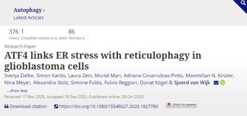 【新进展】老药新用!抗腹泻药开启细胞自噬开关,驱使癌细胞死亡