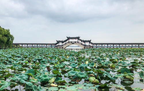 中年|江南0差评0门票的古镇，节假日人也不多，水底王妃墓还有个未解之谜