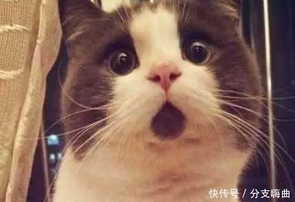 你粉|用不起神仙水还没耐心读懂这些“酸”,活该你粉刺闭口毛孔粗大!