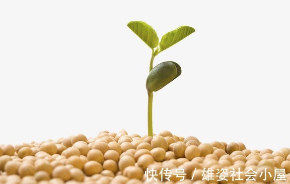 解毒|肝脏最怕“4白”,而你却天天往嘴里送!这“3黄”才是肝脏最爱