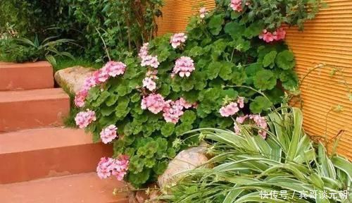 7个绝美花园,个个美炸了天,等有钱了我也要建一个