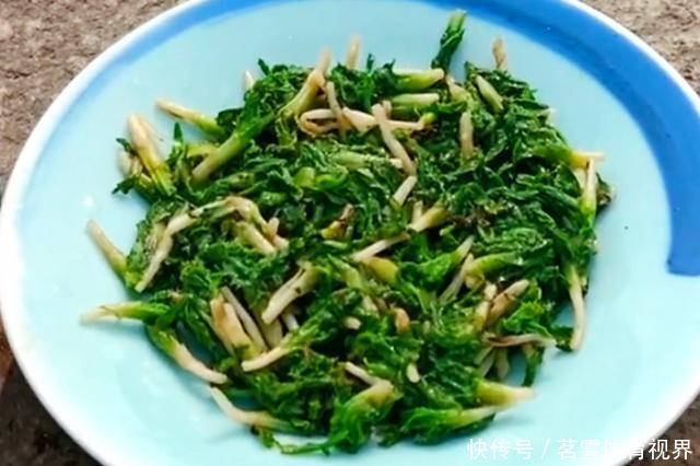 春天，野生“刺儿草”全身是宝，分享好吃做法，常食用好处多多
