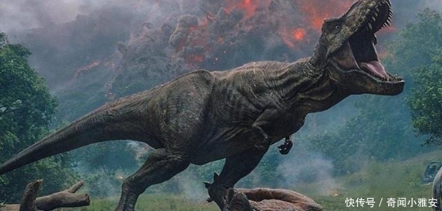 小行星撞击地球后,恐龙过了多久才灭绝?答案你不会想到