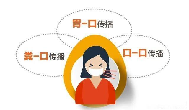 感染|正确使用筷子,关乎一家人的健康从选对、洗对、放对筷子开始