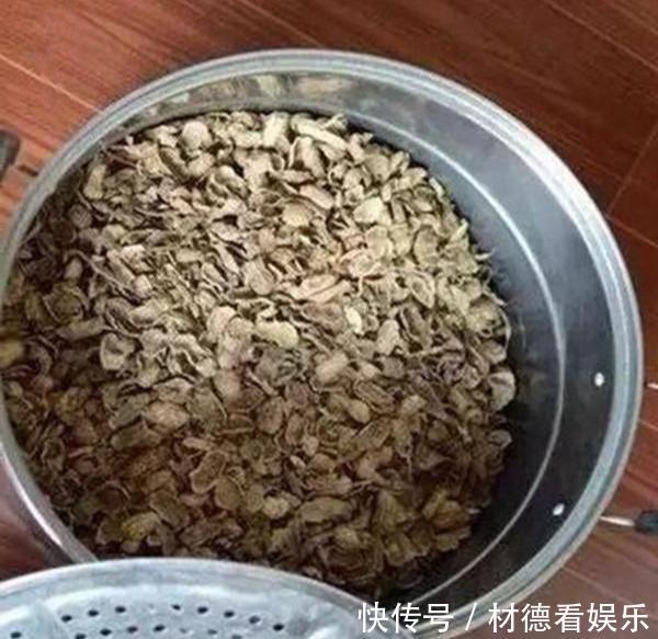 花盆|养兰花不花钱,随便一把花生壳,扔在花盆养分足,不积水不烂根