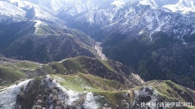 伊犁阿吾赞沟的野杏花