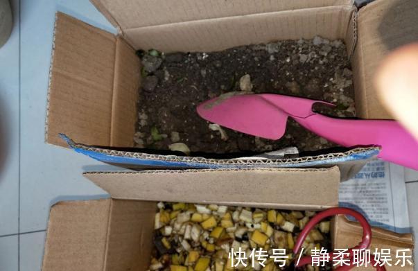 养花旧土,按这2步“翻新”,无菌、无害虫,营养更全面