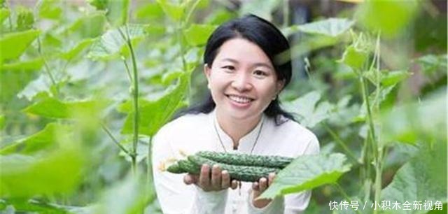 种地|剑桥女博士弃百万年薪回乡种地,年收入破亿,世界五百强找她合作
