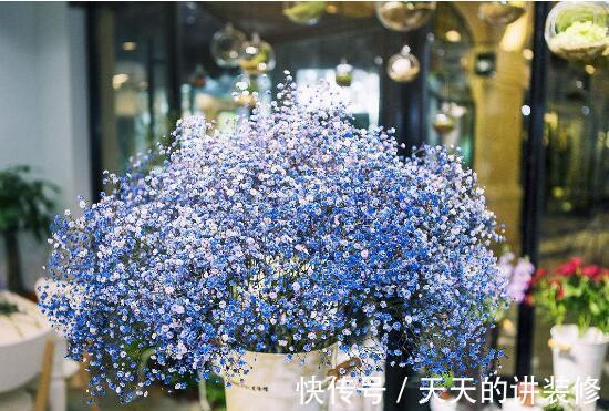 茉莉花|农历8月2日过后,家养4种“小花”,花开漫天,花香沁人心脾