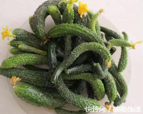 黄瓜|腌黄瓜,先撒盐是大忌多加1步,黄瓜脆爽还入味,放3个月都不坏