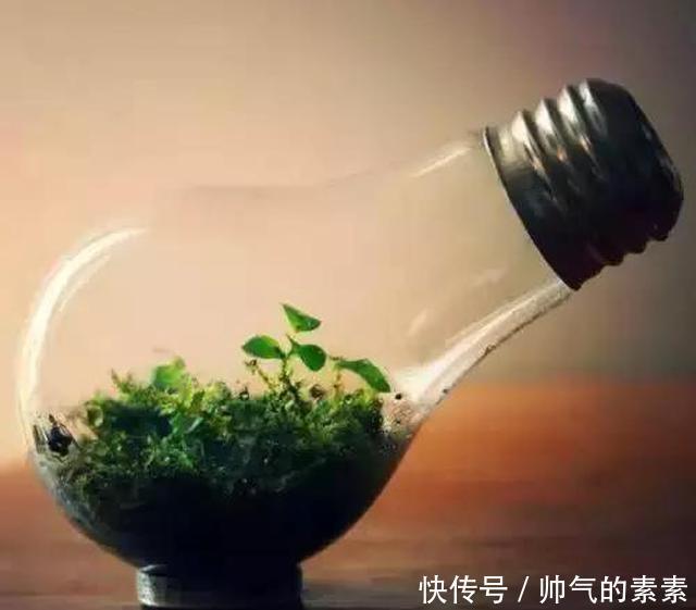 只要脑洞够，万物皆可花盆