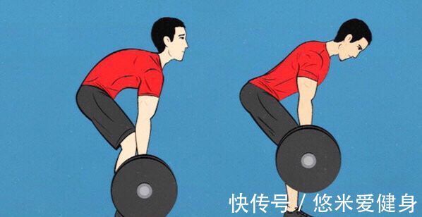 肌群|圆背硬拉——检验新人与高手训练水平的动作,完成大重量更轻松