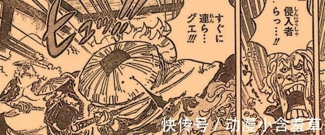 海贼王|海贼王986话:以藏打出惊艳一枪,炎灾烬名刀脱手,白团要崛起