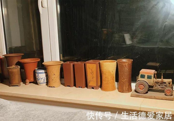 绿萝|绿萝穷养,兰花富养,才能养成宝贝,你真的懂吗?