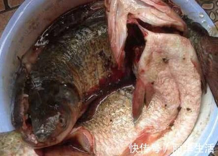 腌腊鱼时,掌握“4要点”,腊鱼鲜香入味,久放不坏,越放越香!