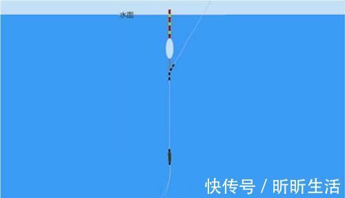 饵重|钓鱼调漂技巧必学技巧:满足这三点要求,调漂方法就是靠谱的!