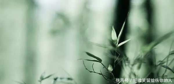 12句民间俗语，暗藏玄机，大有智慧