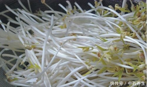 黄豆芽PK绿豆芽,谁营养更胜一筹