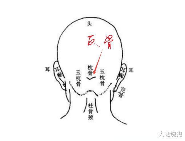 颅骨|“天生反骨”为古之大忌，反骨什么样这种人又有什么性格特征