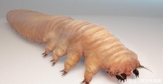 警示|警示:“螨虫脸”的人,3个感受很明显,说明螨虫在脸上爆发了!