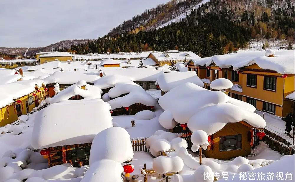 雾凇|一路向北，去中国最美的地方看冰花雾凇，逛梦幻雪乡！