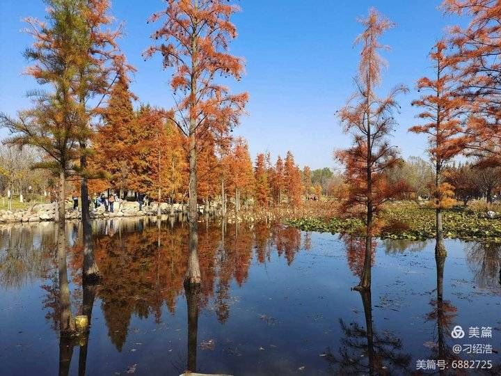 雅大！青未了/此时此景诗有情（七图七题）