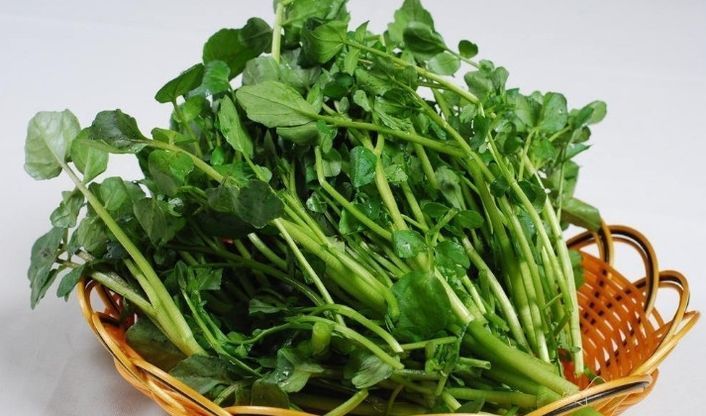 三月养肝正当时,隔三差五吃一次,排出毒素,肝脏越来越健康