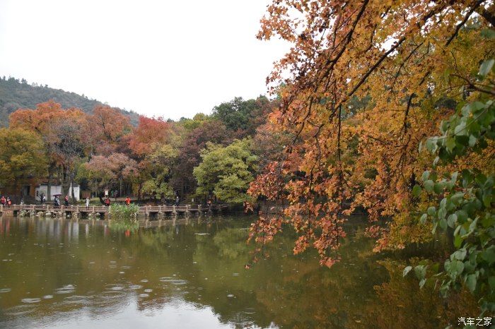 天平山|【喜迎国庆】停车坐爱枫林晚，霜叶红于二月花。游天平山赏枫叶