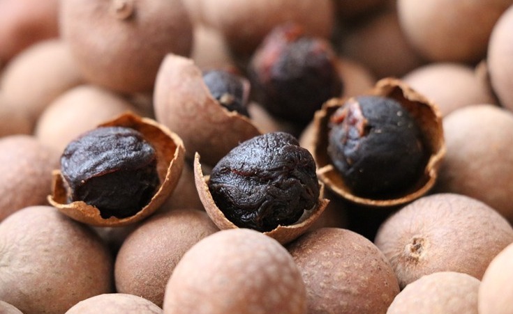 桂圆干|8月要常吃桂圆,教你正确吃法,好吃不上火,气色差的人多吃点