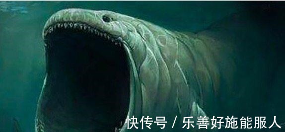 圣灵教|斗罗大陆最强5大魂兽帝天垫底、深海魔鲸仅第四，第一无人不服！