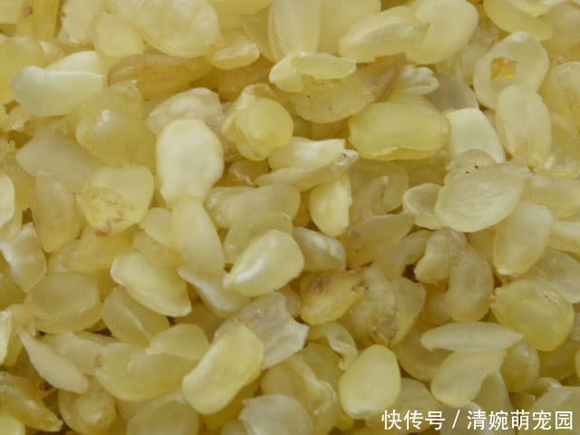  糖尿病|藏在身边的吸糖王，每天敞开吃，稳定血糖助你远离糖尿病