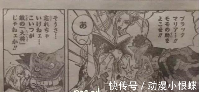 十郎|《海贼王》982话图透，桃之助惨状公开，被堪十郎打得面目全非！