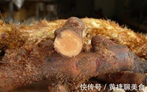 金线莲|农村长在岩石上的“飞天鼠”,号称“骨碎补”,接骨续筋棒棒的